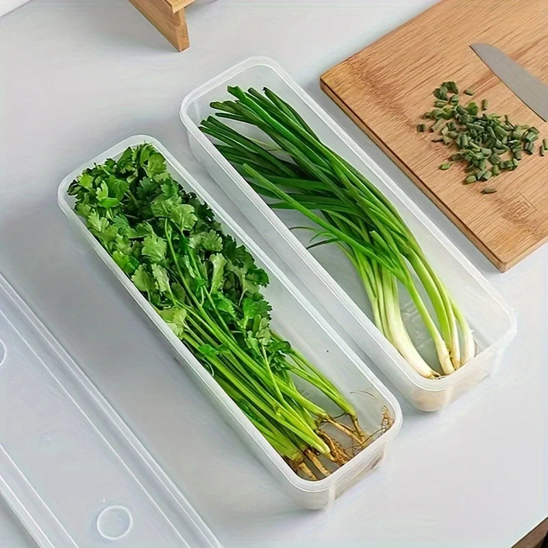 Boîte de Conservation Fraîcheur Réfrigérateur